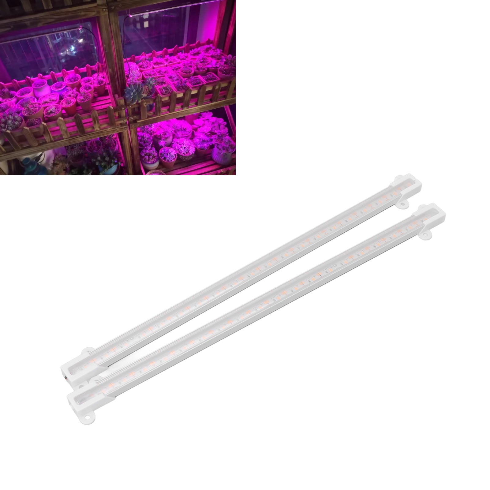 Solar Plant Grow Light Strip for balcony - Boost Vegetable Harvesting Efficiency